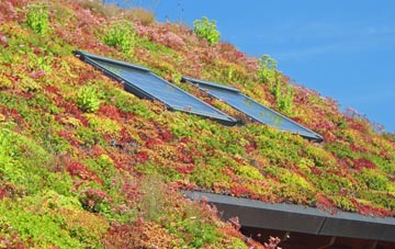 Newport On Tay living roof systems