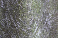 Newport On Tay fibreglass roof work